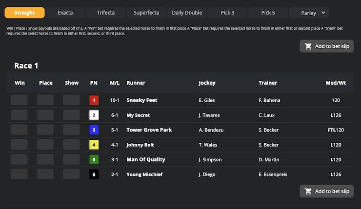 An image of betting lines for how to bet on the Kentucky Derby.
